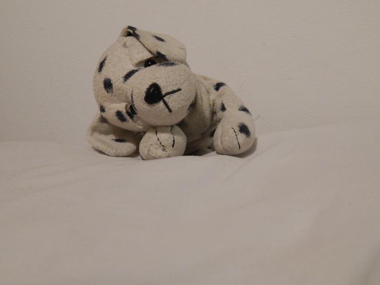 Free stock image of Stuffed toy dog created by Silvana