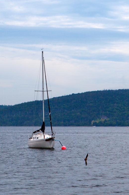 Free stock image of Sailing Yacht created by Geoffrey Whiteway