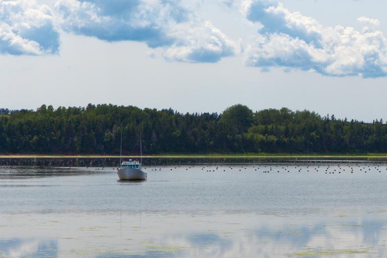 Free stock image of Aquaculture created by Geoffrey Whiteway