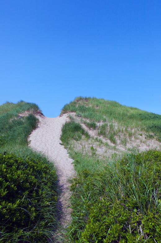 Free stock image of Beach created by Geoffrey Whiteway