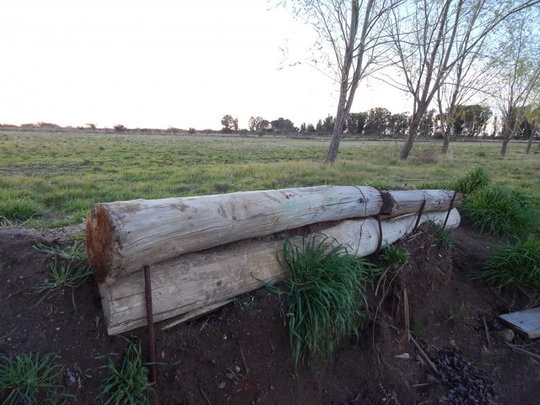 Free stock image of Wood Trunks created by Silvana