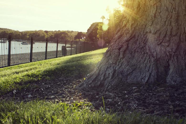 Free stock image of STATE PARK created by renato valadez