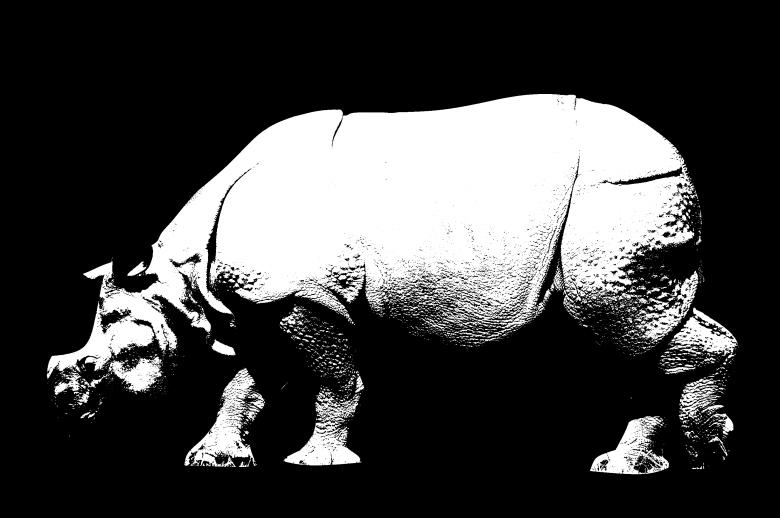 Free stock image of Rhino created by Harry Ray