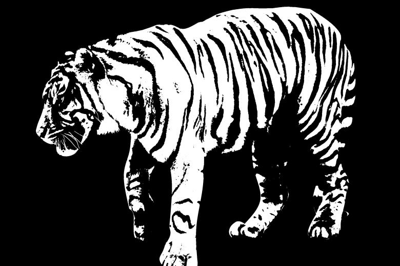 Free stock image of Tiger created by Harry Ray