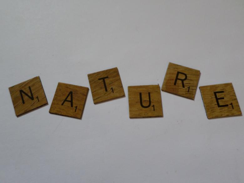 Free stock image of Nature scrabble style tiles created by Mark Gleeson