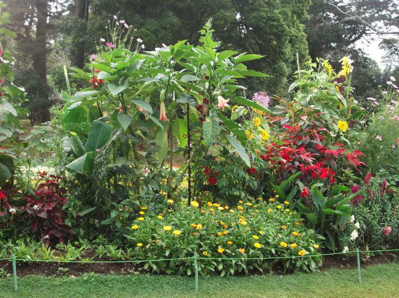 Free stock image of Flower Garden created by Amila Viduranga
