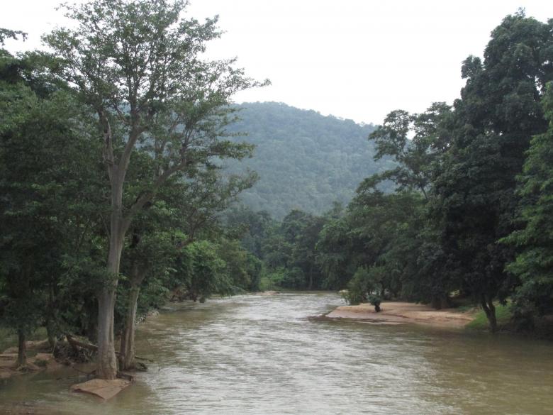 Free stock image of River in forest created by shhekhar kumar