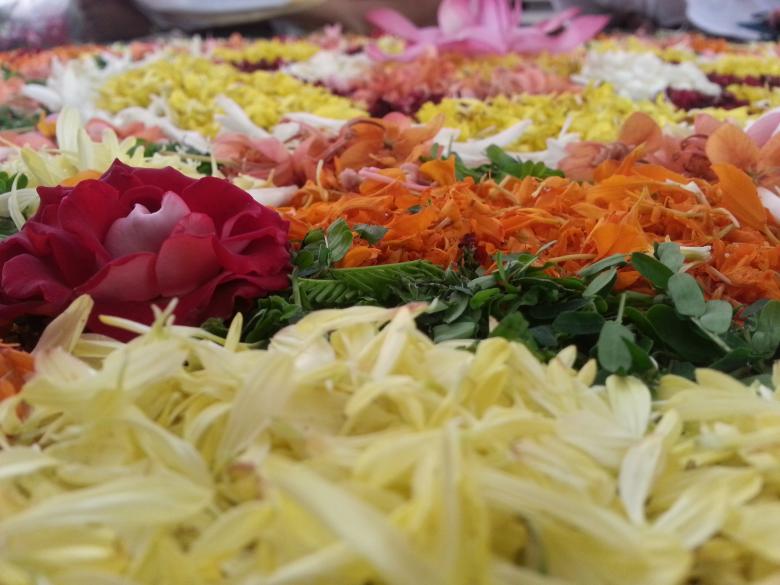 Free stock image of HD pookalam created by sanjay kumar
