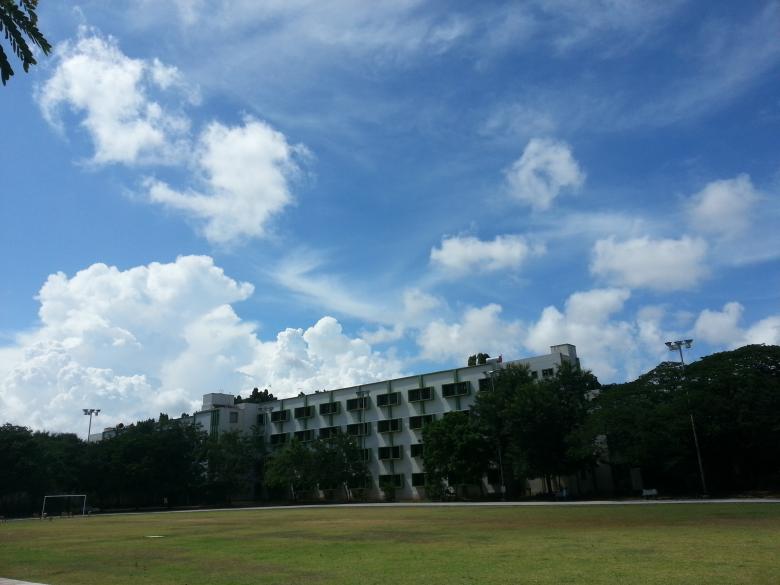 Free stock image of A sunny day created by sanjay kumar