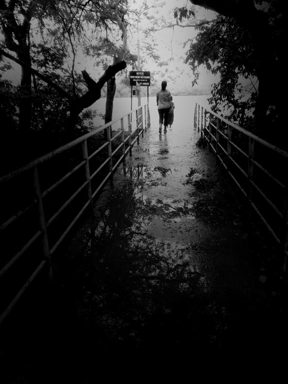 Free stock image of From darkness to light created by sanjay kumar