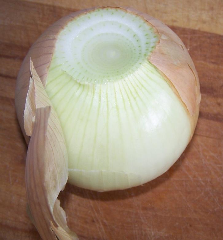 Free stock image of Peeling Onion created by delicopsch56