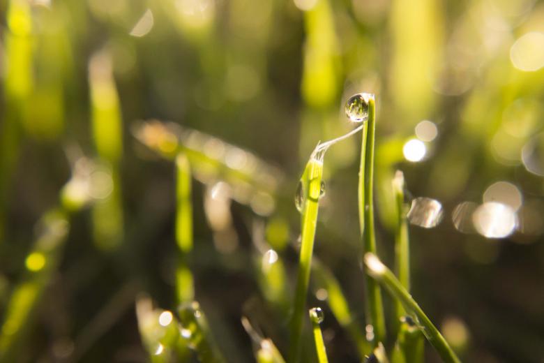 Free stock image of Morning Already created by renato valadez