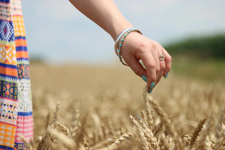 Free stock image of From Field to Flour created by renato valadez