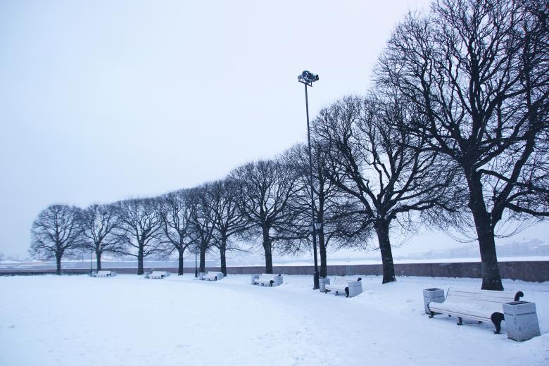 Free stock image of Trees at winter created by 2happy