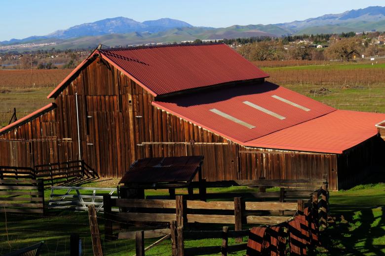 Free stock image of winery created by dana richardson