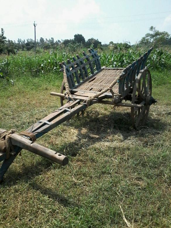 Free stock image of Bull cart created by shhekhar kumar
