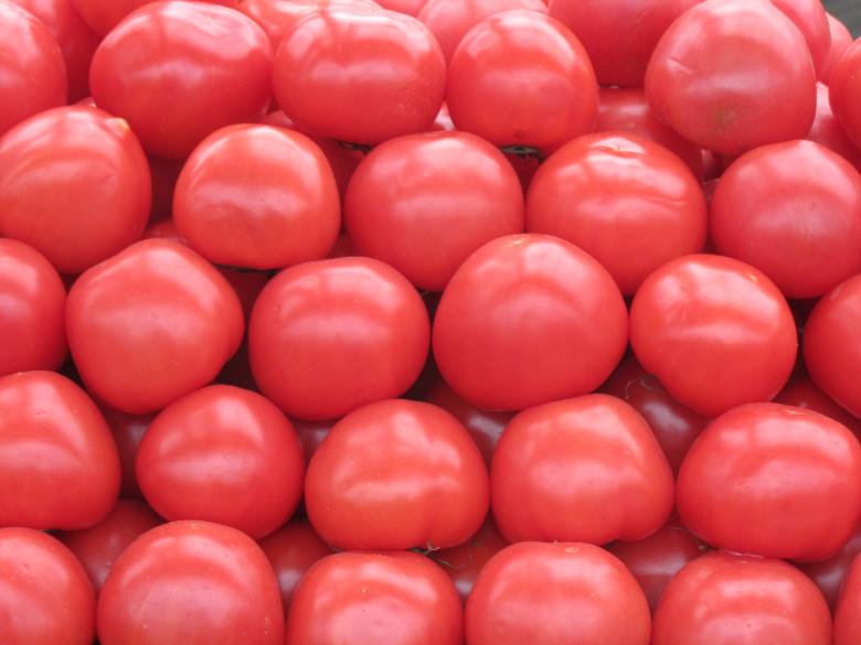 Free stock image of Tomatoes at the market created by Boris Kyurkchiev