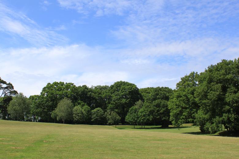 Free stock image of Golf course created by Wady Galfskiy