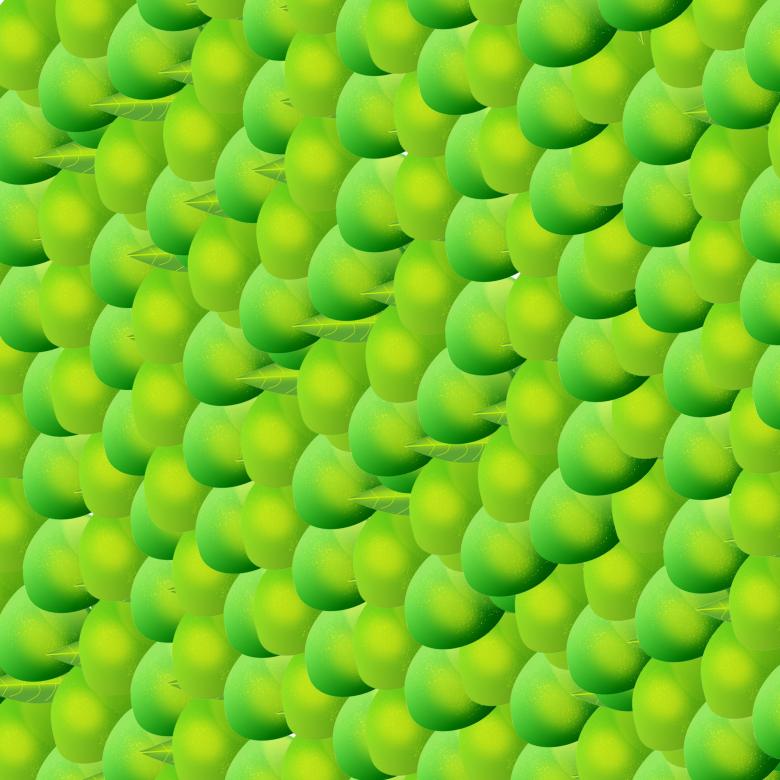 Free stock image of Mango Texture created by manoj saini