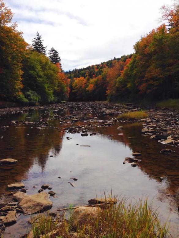 Free stock image of Fall Scene created by Nature Girl