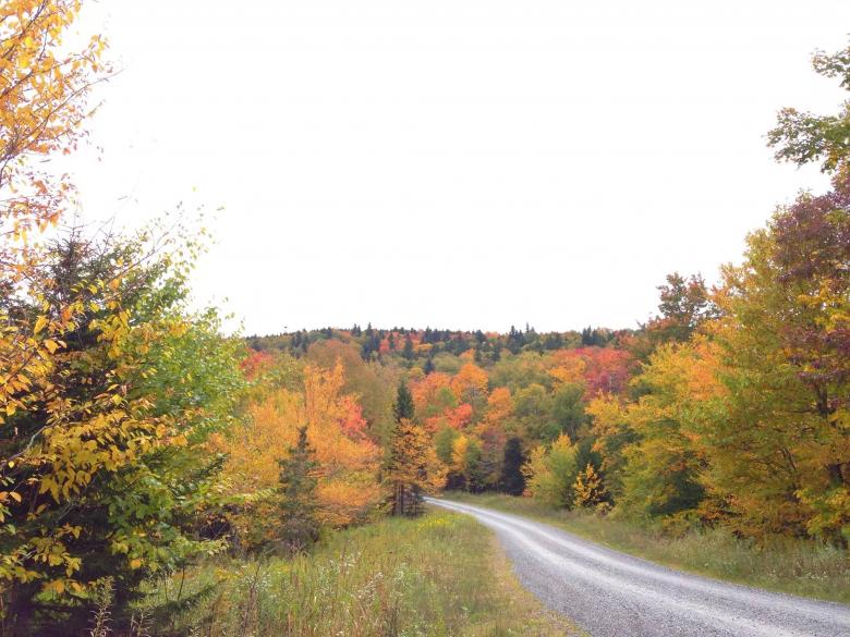 Free stock image of Fabulous Fall Scene created by Nature Girl