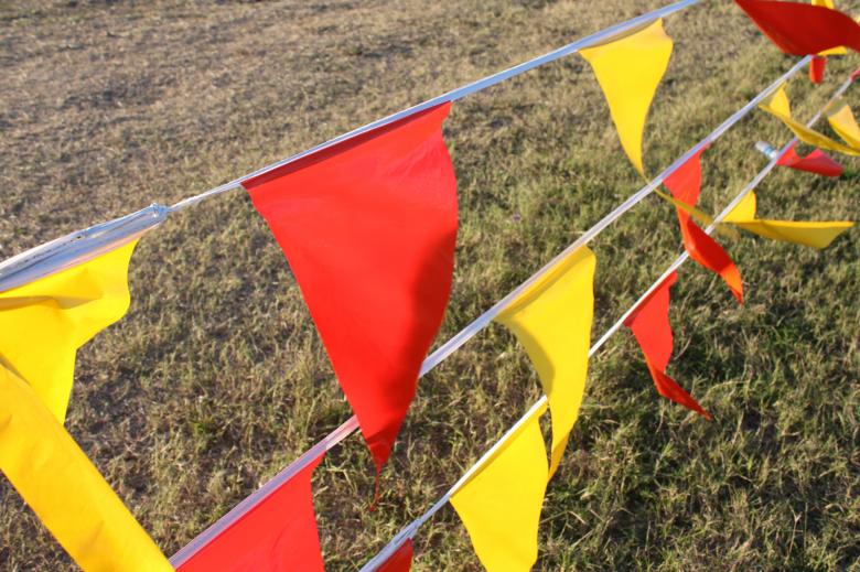 Free stock image of Small flags created by Val Lawless