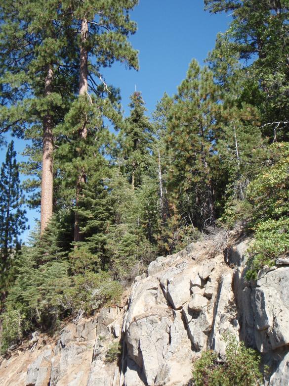Free stock image of Yosemite National Park created by Wady Galfskiy