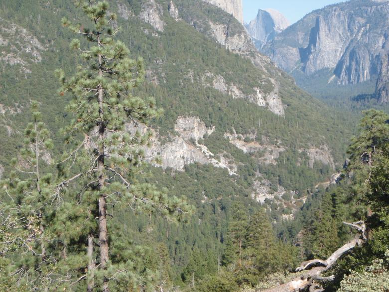 Free stock image of Yosemite National Park created by Wady Galfskiy
