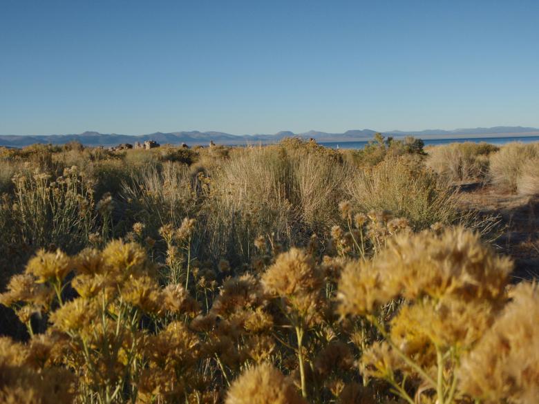 Free stock image of California Landscape created by Wady Galfskiy