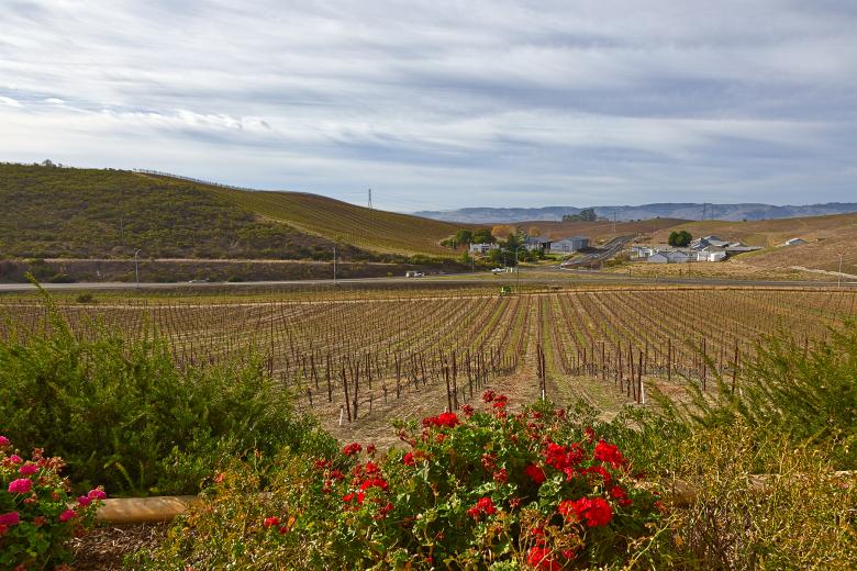 Free stock image of Sonoma Valley Scenery - HDR created by Nicolas Raymond