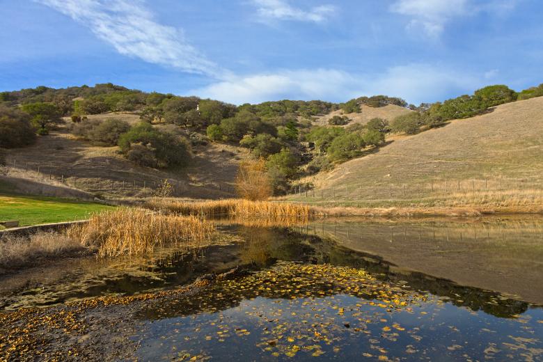 Free stock image of Sonoma Valley Pondscape - HDR created by Nicolas Raymond