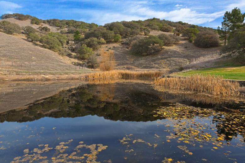Free stock image of Sonoma Valley Pondscape - HDR created by Nicolas Raymond