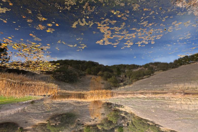Free stock image of Sonoma Valley Pondscape - HDR created by Nicolas Raymond