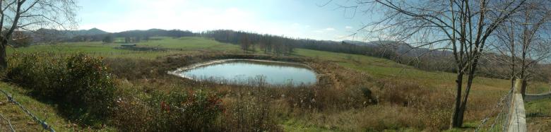 Free stock image of The Pond created by Nature Girl