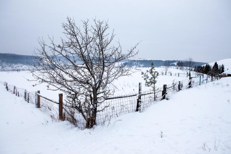 Free stock image of Winter village scene created by 2happy