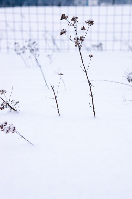 Free stock image of Winter scene created by 2happy