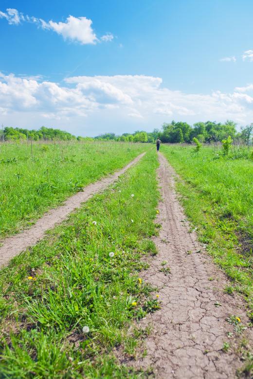 Free stock image of Summer road created by 2happy