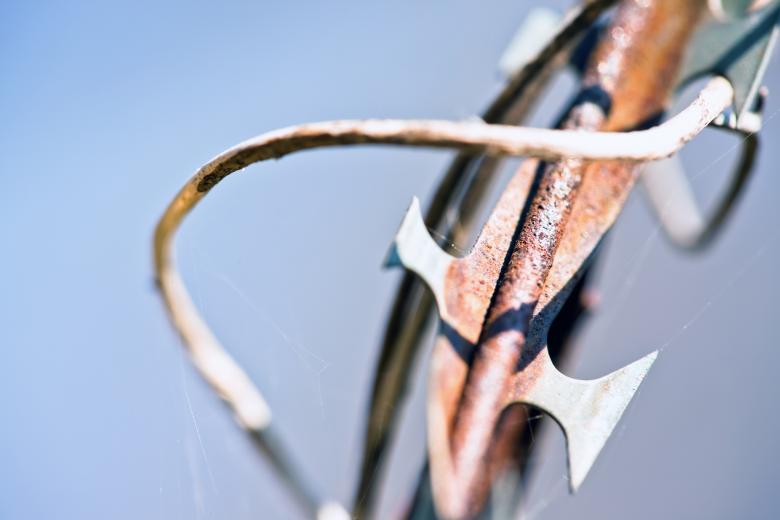 Free stock image of Barbed Wire created by 2happy