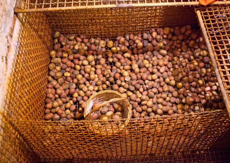 Free stock image of Potatoes in the cellar created by 2happy