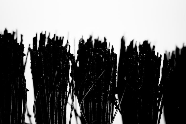 Free stock image of Wire Brush created by Bjorgvin