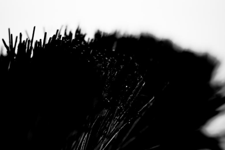 Free stock image of Wire Brush created by Bjorgvin