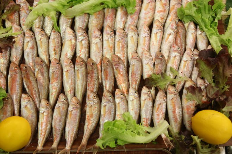 Free stock image of Mullet Fish created by mustafa yildiz