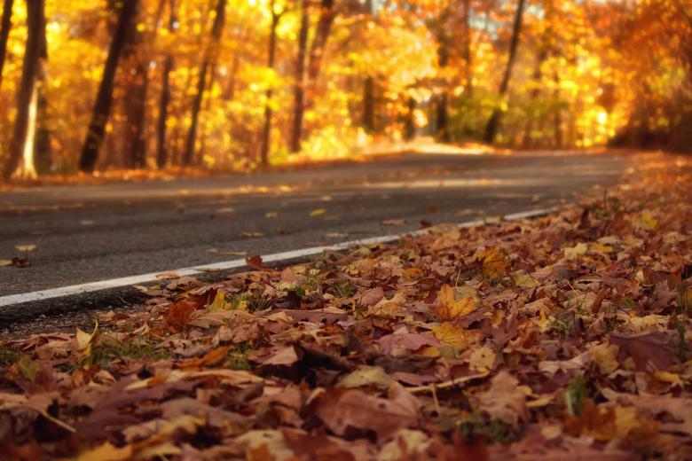 Free stock image of Snake Road created by renato valadez