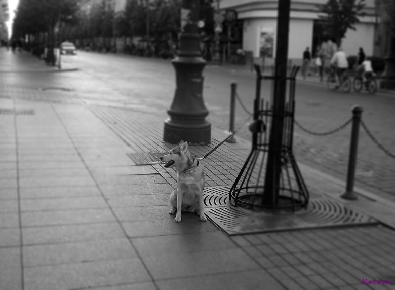 Free stock image of Tied up and left created by Kazragis