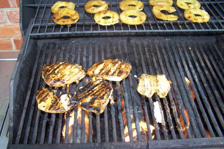 Free stock image of Teryaki Chicken on Grill created by delicopsch56