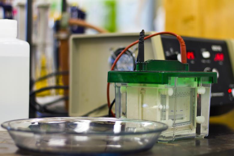 Free stock image of Gel electrophoresis created by Geoffrey Whiteway