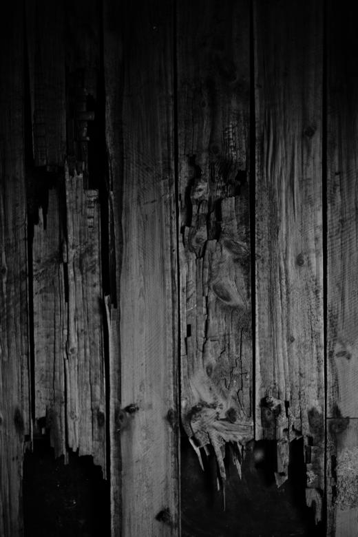 Free stock image of Rotten Wood Texture created by Free Texture Friday