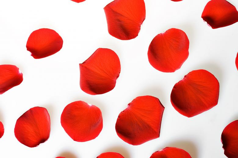 Free stock image of rose petals created by 2happy