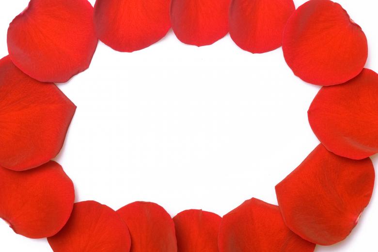 Free stock image of rose petals created by 2happy