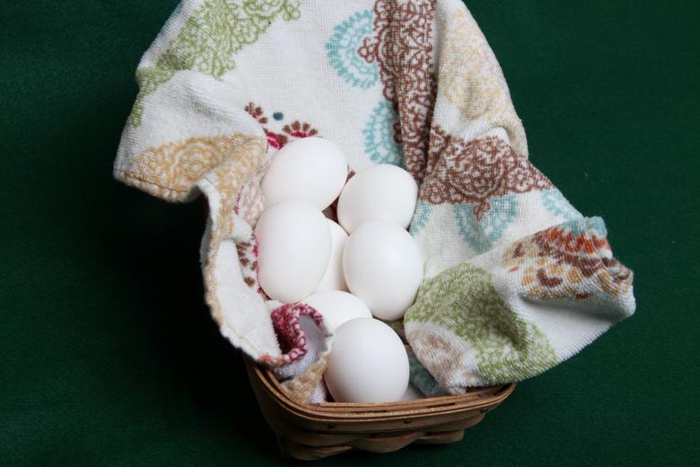 Free stock image of Eggs created by Jared Davidson